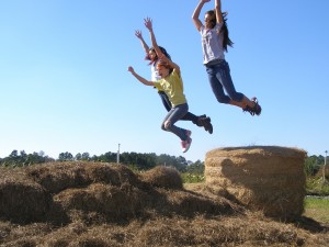 Fun at the farm in the hay          
